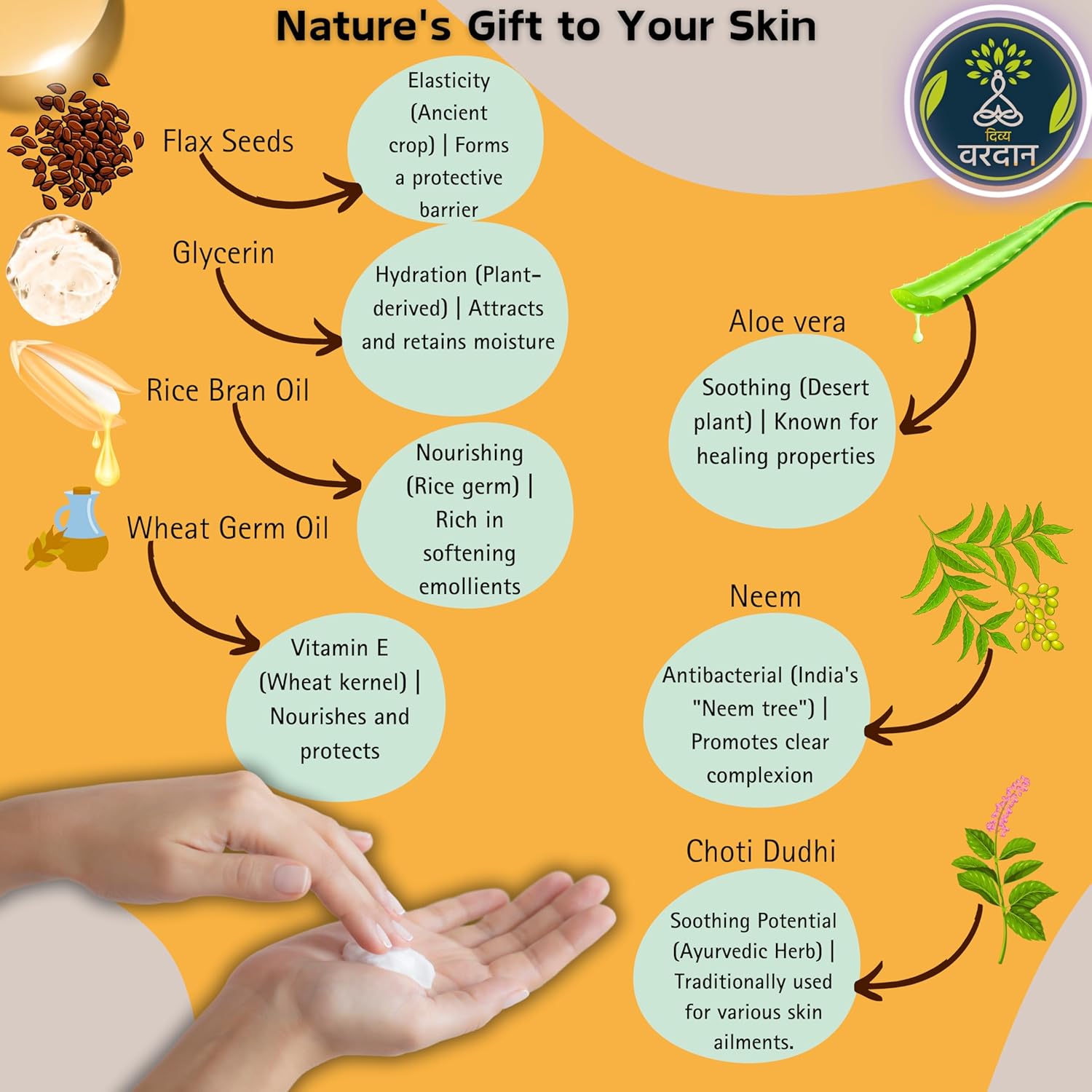 Body Lotion